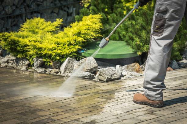 Best Sidewalk and Walkway Cleaning  in Hurlburt Field, FL